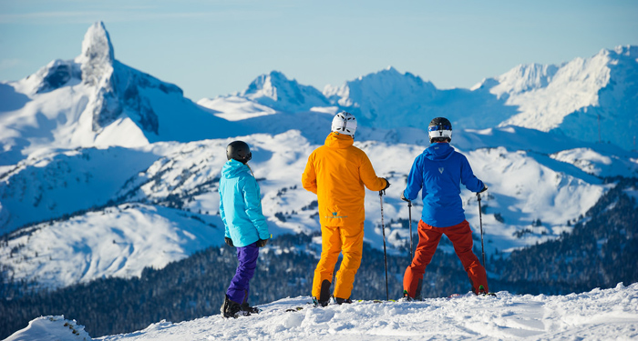 Domestic ski insurance information